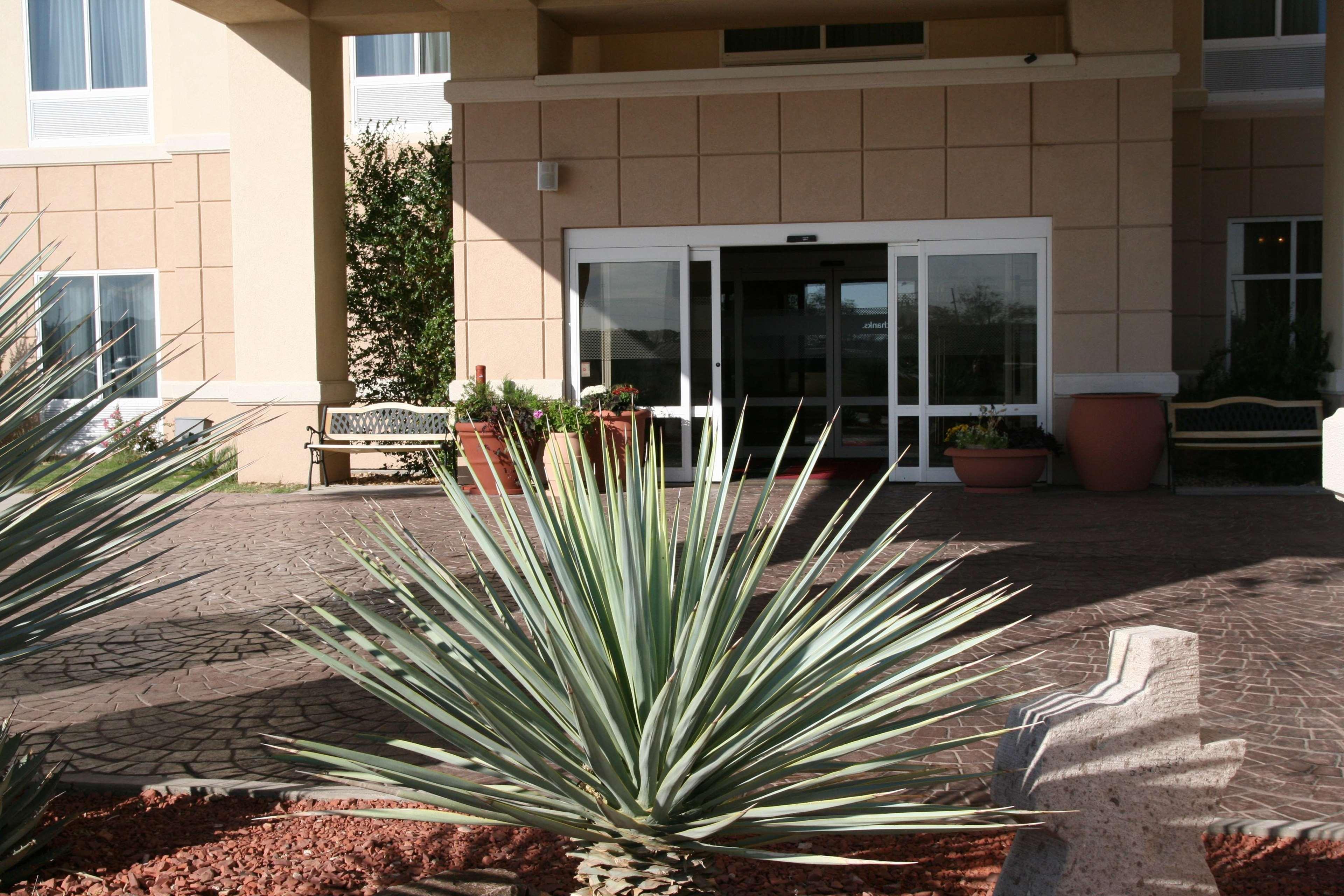 Hampton Inn Alpine Kültér fotó